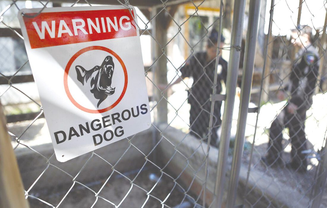 BE Council holds hearings on dog issues | News, Sports, Jobs - Faribault County Register - Vimarsana News